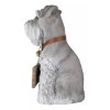 Adorable Grey Schnauzer Dog Sitting With Jingle Collar Greetings Sign