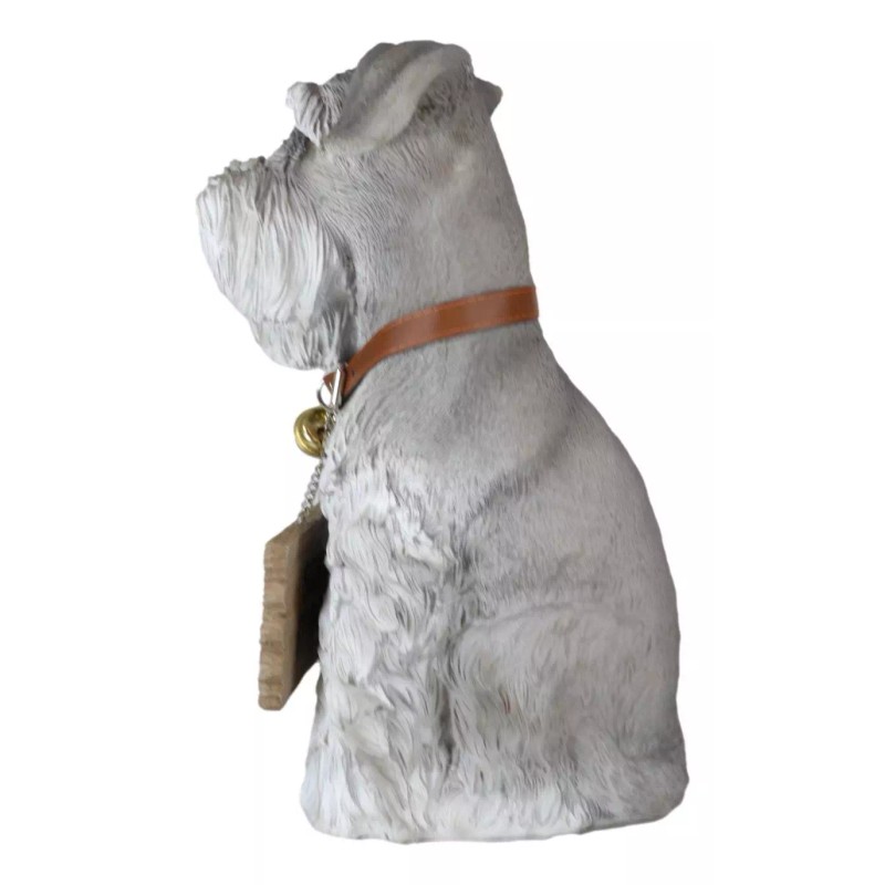 Adorable Grey Schnauzer Dog Sitting With Jingle Collar Greetings Sign