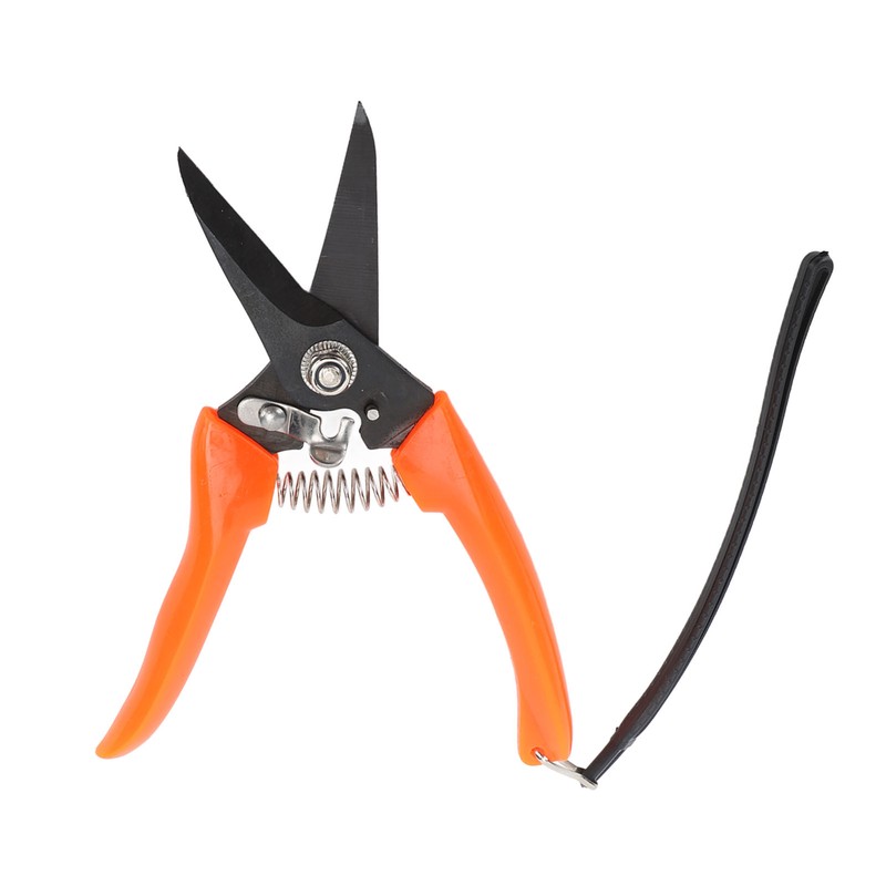 Hoof Shear Red Stainless Steel High Carbon Steel Multifunctional Hoof