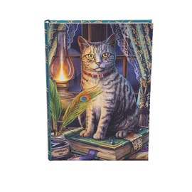 Nemesis Now Lisa Parker Book of Shadows Journal, Multi-Colour, 17 cm