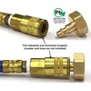 Winterize Sprinkler Systems And Outdoor Faucets: Air Compressor Quick-Connect Plug
