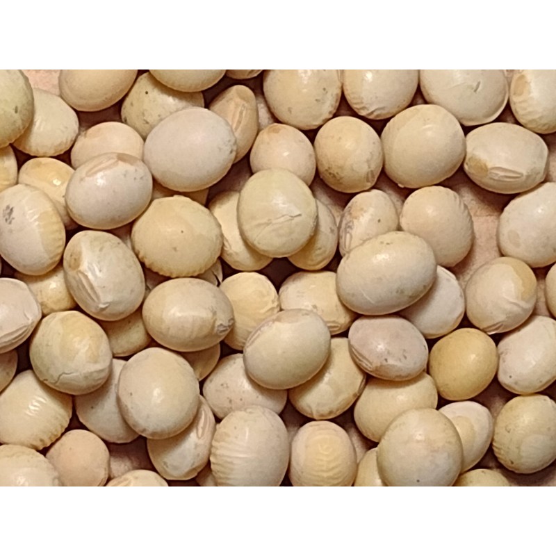 Organic Soybeans- nonGMO, 5 lbs., Farmer Direct, Identity Preseved, Dry