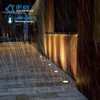 Familite PAR36 LED Landscape Bulb, 12W 36W Halogen Equivalent, AC/DC
