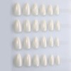 XZMeiLun SM 3D Press On Nails (JS-SM-56250558, 24Pcs (Pack of