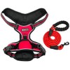 EarthPETS Classic Pet Harness No Pull with 2 Leash Clips,