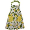 DII Lemon Bliss Apron, Multi
