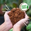 Back to the Roots Organic Coir, 51 Quart Expanding Soil,