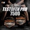 FINE SPORTS Test Fenpro 7500 Fenugreek Seeds, Astradine, 30 Capsules,