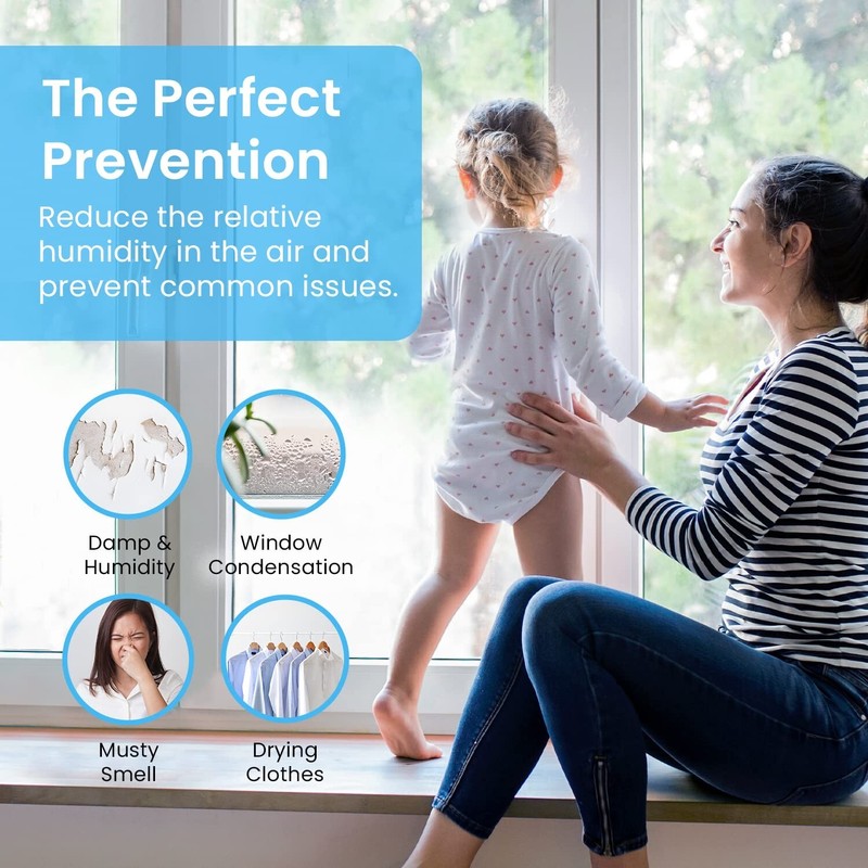 Pro Breeze Electric Mini Dehumidifier, 2200 Cubic Feet (250 sq