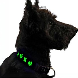 MOLINE YOU Rechargeable USB Dog Collar, LED Light, Glow in The Dark Collar for Dogs, Water Resistant and Weatherproof with 15 Lighthing Modes, Collars Perfect for Night Walks. (Medium, Black)