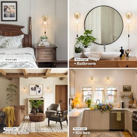 Shenmoyl Vintage Battery Operated Wall Sconce, Wireless Battery Powered Rose Wall Sconces with Remote Control, RGB Dimmable LED Plug in Wall Light for Bedside Indoor Living Room (Transparent)