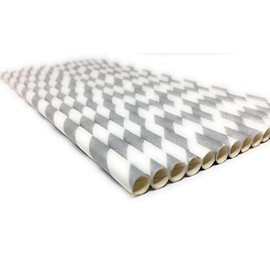 Picture Perfect Party Premium Paper Straws [Pack of 25 Drinking Straws] by (Silver Stripes)