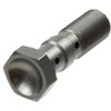 TRW/Lucas MCH971T Double Hollow Screw M10 x 1.00 mm
