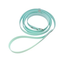 Slip Lead – 5ft Lightweight Waterproof Dog Leash with Slip Collar – 16mm PVC-Coated Grooming Lead – Easy to Clean, Compact & Durable – for Groomers, Kennels, Clinics and Pet Owners (Baby Blue)