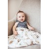 Large Premium Knit Baby Swaddle Receiving Blanket"Noah" by Copper Pearl