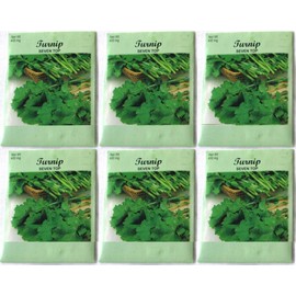 (6 Pack) 400 mg/Package Turnip Seven Top Seeds