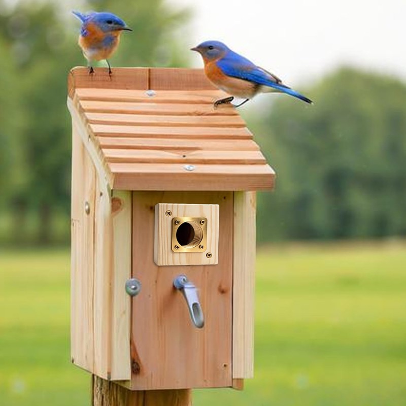 ZJ1WYZQQ Bluebird House Predator Guard， with Copper Gate Predator Protection