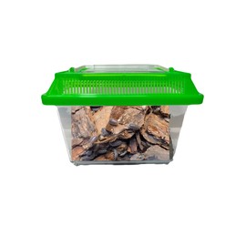 Roly Poly Farm(Assorted Colors), Pocket Habitat, and Roly Poly kit for Kids (Fast Producing Colony + 10 Blue Merle Rolies) Available only if Your Local 5 Day temperatures are Between 20-95 Degrees