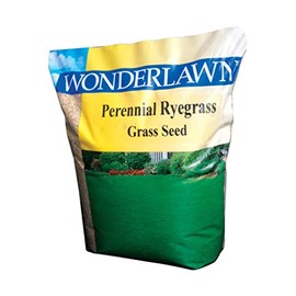 RYEGRASS SEED PEREN 10LB