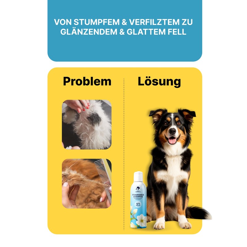 Japan Premium Pet Cat & Dog Shampoo Sensitive Dog Shampoo