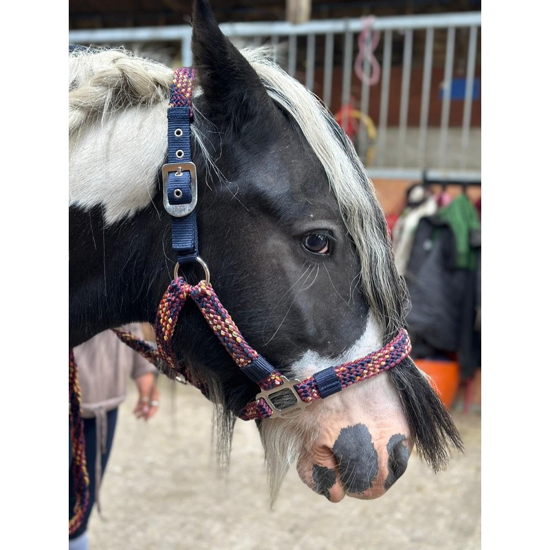 Equipride Braided Headcollar Lead Rope Set Size Full-Shetland Flame (Pony)