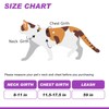 VKPETFR Cat Harness and Leash Set with Airtag Holder for