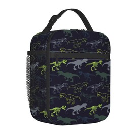 Fdnupian Insulated Lunch Bag Portable Lunch Box Reusable Totes For Women Men Dinosaur