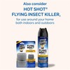 Hot Shot Flying Insect Killer, 15 Ounces, Aerosol Formula Kills