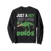 Trex Tyrannosaurus Rex T-Rex Dino Dinosaur Sweatshirt