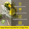 Chrysal Flower Food -100 Packets