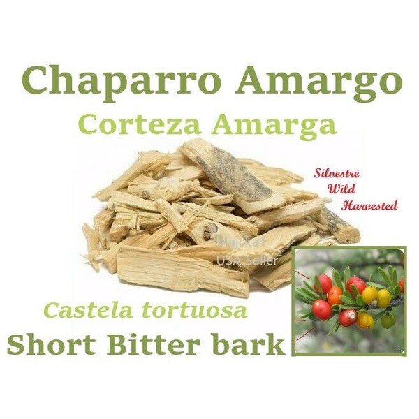 Chaparro Amargo Castela tortuosa 1/2 oz Hierbas Yerbas Amarga biter herbs