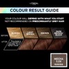 L'Oréal Paris Preference Vivids Permanent Hair Colour, 5.230 Mocha