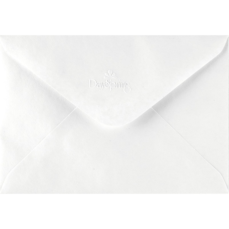 DaySpring Get Well Boxed Greeting Cards w Embossed Envelopes -