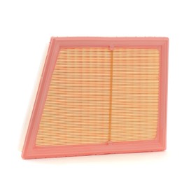 RIDEX 8A0758 Engine Air Filter || Air Filter Insert, Car Filter, Car Filter, Engine Air Filter, Filter for Air, Engine Air Motor Filter