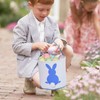 Zkaoai Easter Bunny Bags, Easter Bunny Baskets with Fluffy Tail,