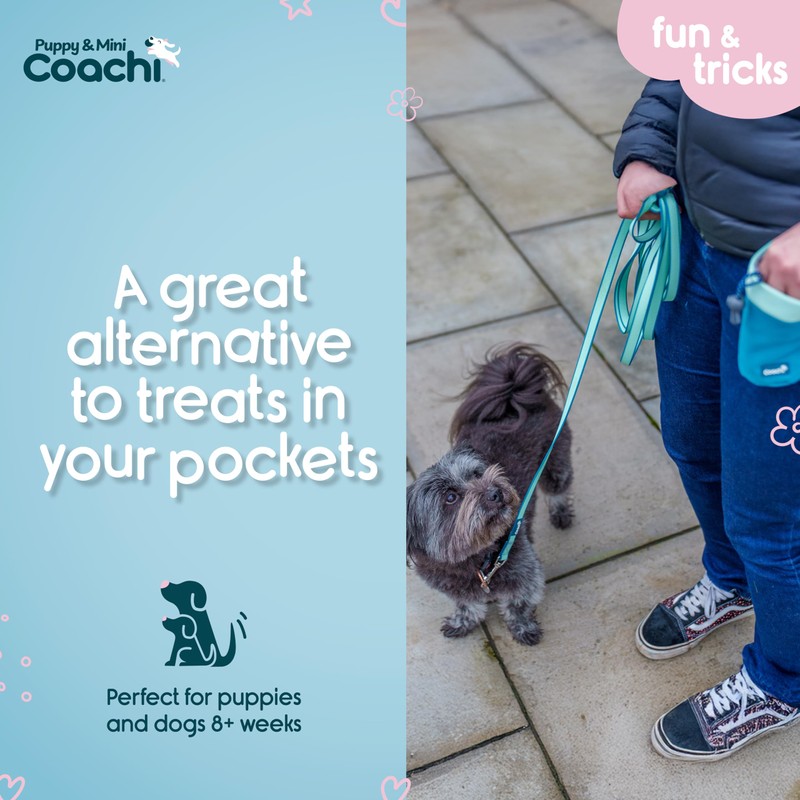Coachi Puppy & Mini Treat Pouch - Compact sized Treat