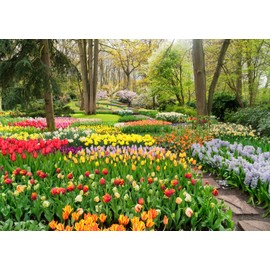 Loccor 9x6ft Fabric Spring Garden Backdrop Colorful Tulips Park Path Photography Background Spring Flowers Backdrop Birthday Wedding Party Baby Shower Photo Studio Props