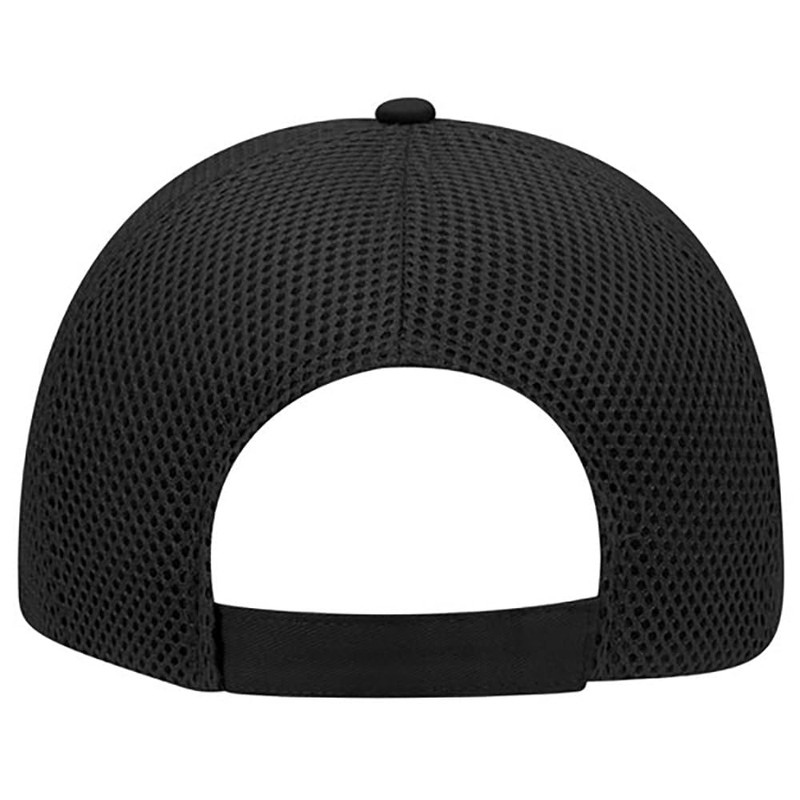 Ashen Fane 6 Panel Structured Low Profile Cotton Twill Polyester