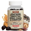Sakoon nutrition Lions Mane Mushroom Gummies with Turkey Tail, Reishi
