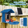Leapbird Bird Feeder with Camera Solar Powered,2.5K HD Video Bird