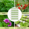 INTBUYING Hydroponics Growing System 54 Holes 6 Pipe Plant Site