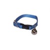 Marshall Ferret Bell Collar, Royal Blue