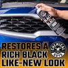 Chemical Guys AIR_SPRAY_1 Black On Black Instant Trim Shine Exterior