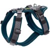 Maldon Safety Harness, Petrol/Grey, Size XS-S