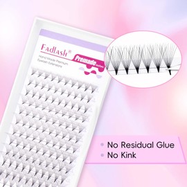 FADLASH Premade Lash Fans D Curl Premade Fans Eyelash Extensions 10D 0.05 Volume Lash Fans Premade Handmade Premade Lash Extensions Fans (10D-0.05D-8-14mm)