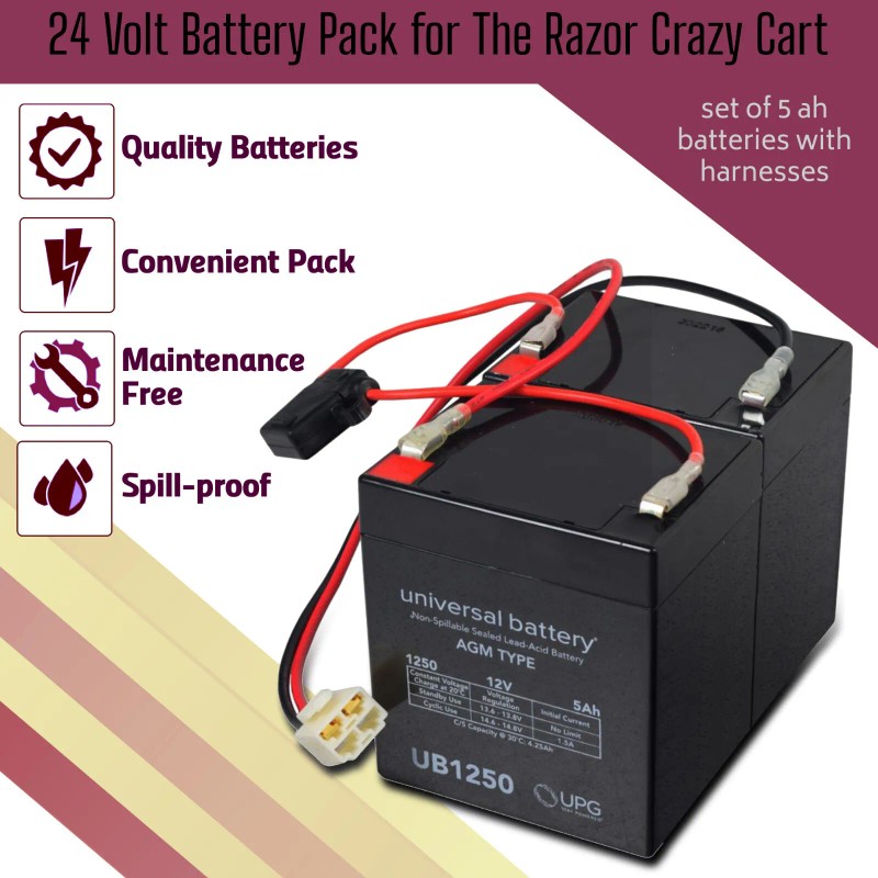 MSP 24 Volt 5 Ah Battery Pack (with Harness) fits