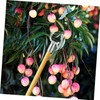 BESPORTBLE 10pcs Metal Tree Branch Support Forks Support for Fruit