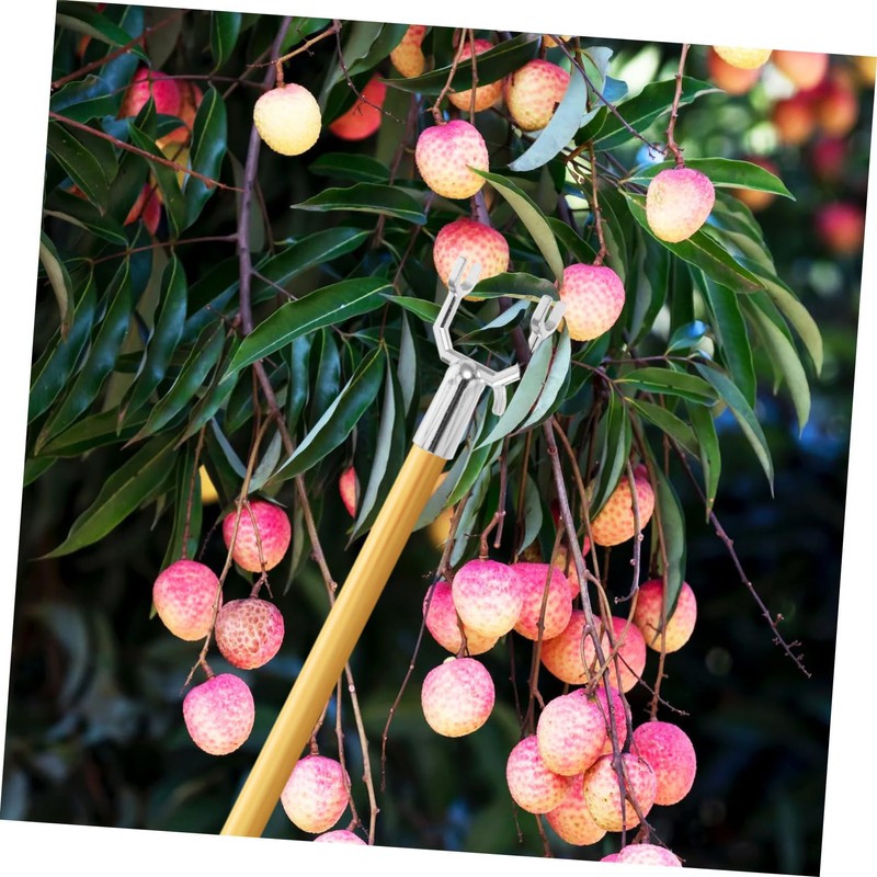 BESPORTBLE 10pcs Metal Tree Branch Support Forks Support for Fruit