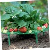 BIUDECO Pcs Strawberry Planting Brackets Plant Climbing Racks for Balcony