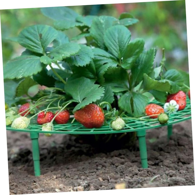 BIUDECO Pcs Strawberry Planting Brackets Plant Climbing Racks for Balcony